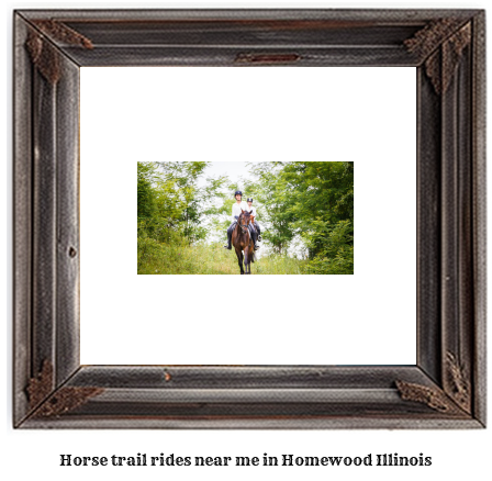 horse trail rides near me in Homewood, Illinois